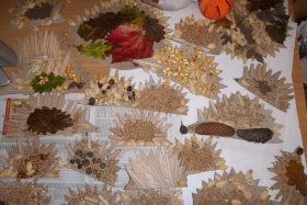 UTRINKI S KOSTANJEVEGA PIKNIKA