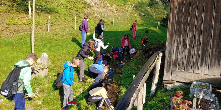 ND 5.r - Biserčkova pot