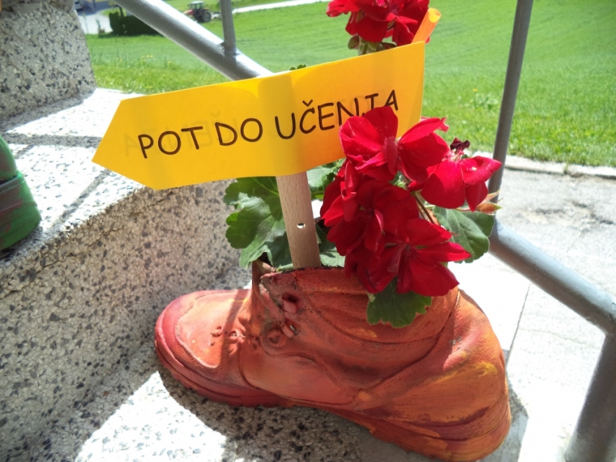 PROJEKT CVETJE V ČEVLJIH