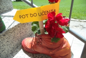 PROJEKT CVETJE V ČEVLJIH