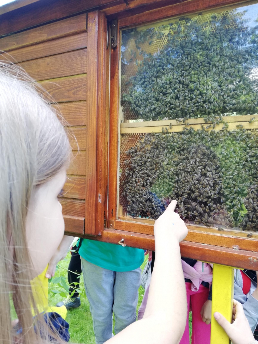 ND 2.r - Obisk Mozirskega gaja