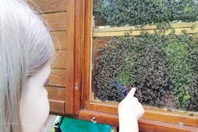 ND 2.r - Obisk Mozirskega gaja