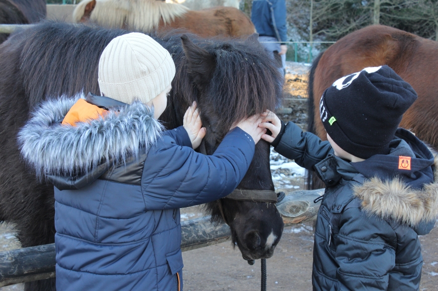 ŠOLA V NARAVI, 5. R, 4. DAN