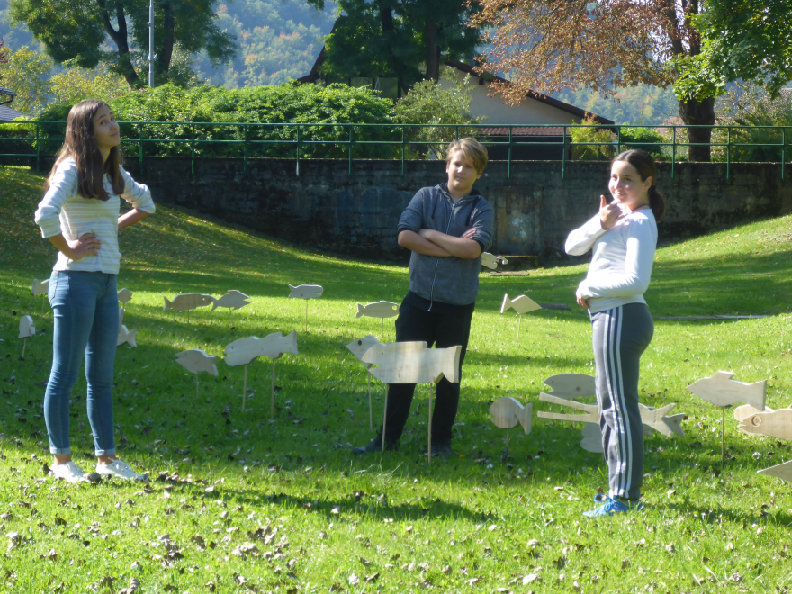 44. MALA NAPOTNIKOVA KIPARSKA KOLONIJA