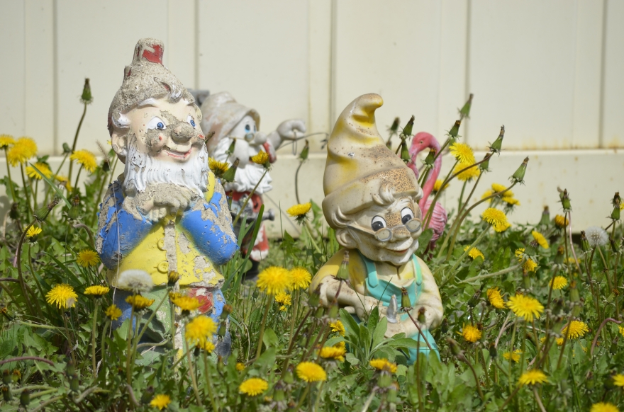 NARAVOSLOVNI DAN, 6. RAZRED