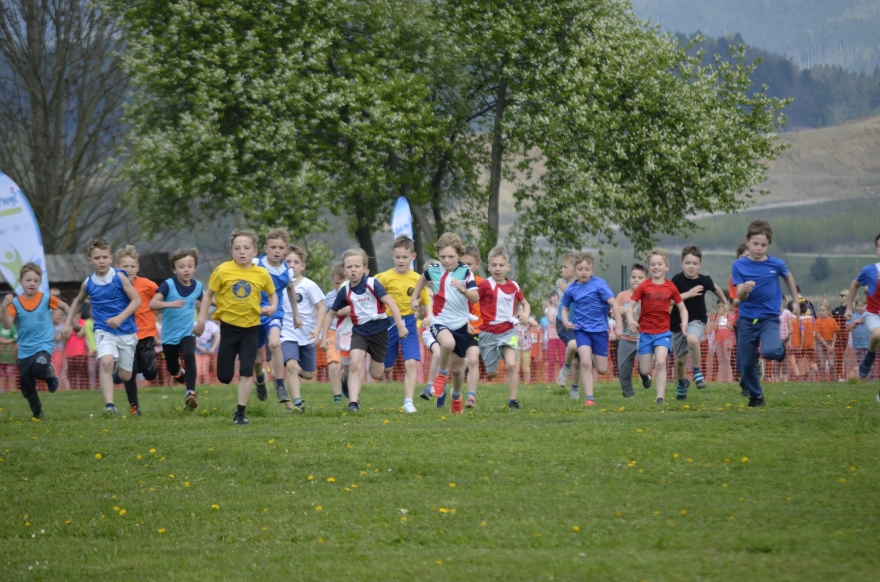 Državno prvenstvo v krosu